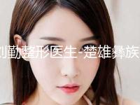 刘勤整形医生-楚雄彝族自治州刘勤医生手术整容鼻子口碑技术在线