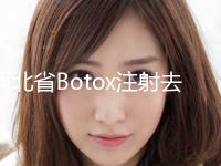 河北省Botox注射去法令纹医生排名榜大推荐-鲁树荣医生收费标准现揭晓