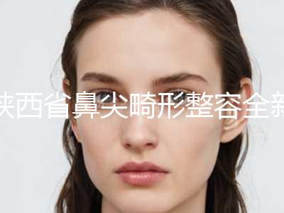 陕西省鼻尖畸形整容全新价格表公布-近8个月均价为9239元