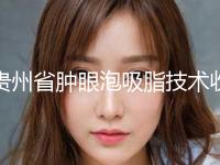 贵州省肿眼泡吸脂技术收费标准2024全新同步上线-贵州省肿眼泡吸脂技术手术大约得需多少钱