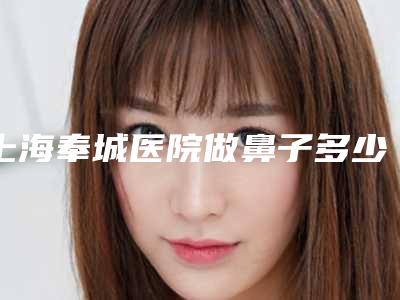 上海奉城医院做鼻子多少钱?医院信息及热门项目揭晓