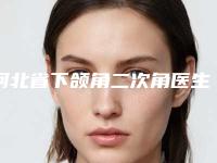 河北省下颌角二次角医生在榜清单前十强公开-河北省下颌角二次角医生