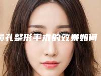 鼻孔整形手术的效果如何（鼻部整形术）